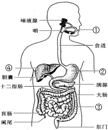 5.下列物质不会造成空气污染的是( )A.二氧化碳