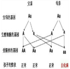 成都市人口构成_阅读图文材料.完成下列各题.材料一 图为中国西部的成都.重庆