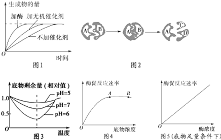 专一性(2)图3是