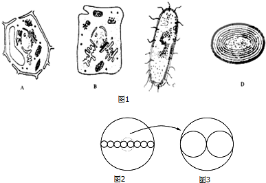 (8分)细胞是生物体结构和功能的基本单位,也是进行新陈代谢的主要场所