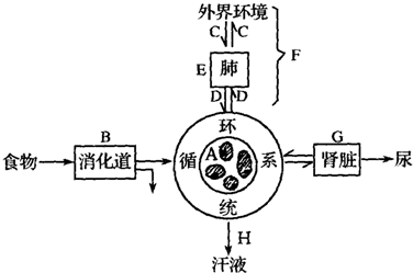 人体内的物质运输主要是由)完成的 a.体循环 b.肺循环 c.