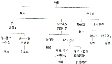 1从检索表中可以看出百足和蜘蛛的共同特征是有足