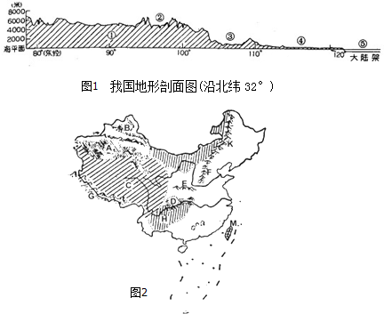 中国的人口死亡率_中国非政府组织发展的新环境(2)