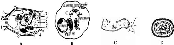 春季水稻种子播种前.先将种子用温水浸泡一段时间.再.