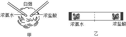 该小组想实验老师要来了玻璃棒,玻璃管,浓氨水,浓盐酸,棉花团等实验