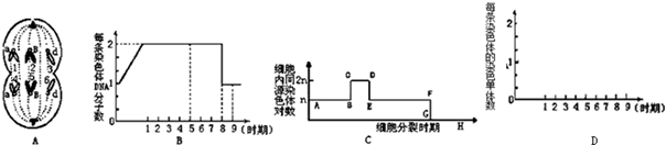 (1)图a细胞所处的细胞时期为减数第二次分裂后期,该细胞的名称是第一