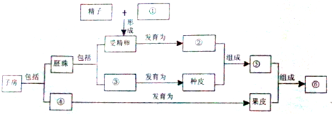 如图为皮肤结构示意图.下列有关叙述.错误的是