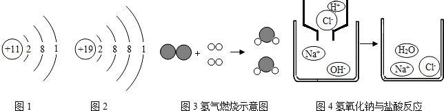 ①从na,k原子结构示意图(如图1,图2)推知.