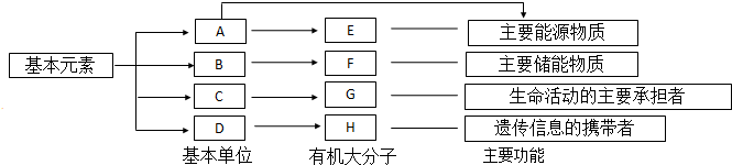 7.以下是生物体内四种有机物的组成与功能关系图,请据图回答