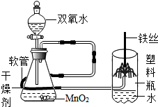 (1)如图是铁丝在氧气中燃烧 实验的改进装置.