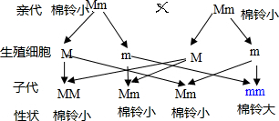 M系基因人口_传承红色基因手抄报