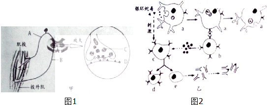 下列有关生物体细胞中酶和ATP的叙述.正确的