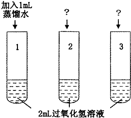 9.下列有关人体内环境稳态维持的叙述中.正确