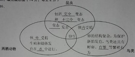 小莉在学习完生物的生殖和发育后对昆虫两栖动物鸟类