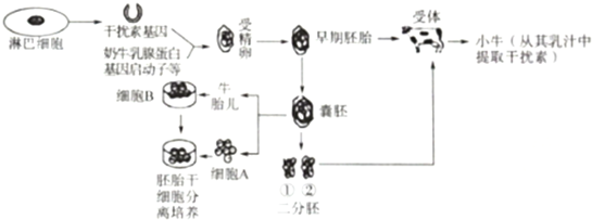 37.人体的体细胞,生殖细胞和受精卵中含有的染色体数分别为( )