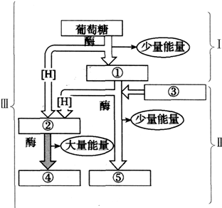 3.图是有氧呼吸过程的图解,请据图回答下列问题