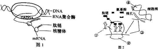 高中生物 题目详情