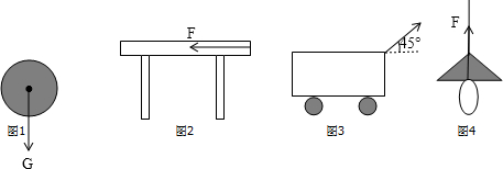 1画出铁球的重力示意图