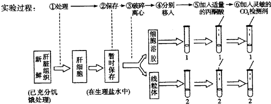 长时间不住人的老屋充满灰尘.某人进入后立即