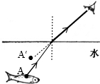 解答解:鱼反射的光线斜射入空气中时,发生折射,折射角大于入射角,折射