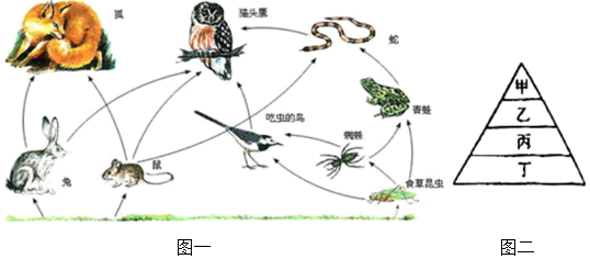 非洲草原象在食物链处于什么位置?公象真的是无敌的存在吗?