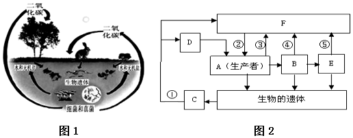 13.对照图1.分析生态系统物质循环示意图(图2).回答下面的问题.(1)如果图中②表示的生理过程是光合作用.④和⑤表示的生理过程应该是呼吸作用.(2)①表示C把生物遗体分解成F和D的过程.C表示的生-