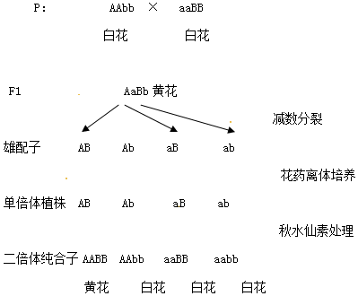 百万人口翻译_全国百万人口分布图(2)