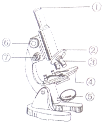 根据光学显微镜结构图.回答有关问题:(1)写出图