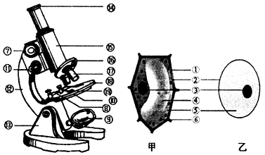 如图是某同学用显微镜观察的两种生物的细胞结构图,据图回答下列问题