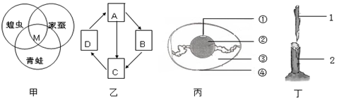 题目详情