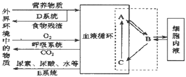 如图是用显微镜观察植物细胞实验中的两个视野