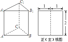 的侧棱长和底面各边长均为2,其主视图是边长为2的正方形,则此直三棱柱
