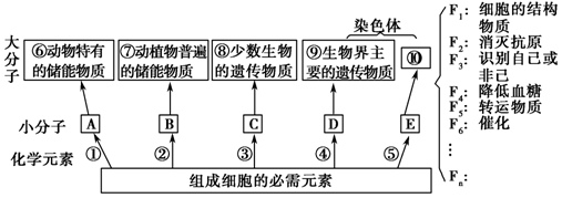 7图中甲是组成生物体的部分大分子化合物与相应组成元素的关系图乙是f