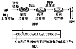 该过程采取的接种方法是稀释涂布平板法,每克土壤样品中的细菌数量为1