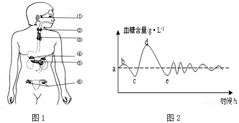 如图1是人体主要的内分泌腺示意图,据图回答