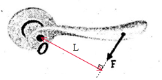 点评 力臂的画法:①首先根据杠杆的示意图,确定杠杆哪支点.