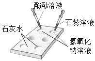 易行的方法:首先检查制氧气装置的气密性.然后按连接好装置.点