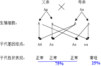 解答 解:先天性聋哑的遗传图解如图