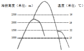 3.某山海拔5200m.下图是该山区的温度和海拔