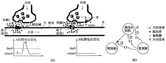 (1)图1的a处膜电位变化示意图中a段表示静息电位,b点时膜外是负电位.