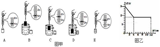 1.如图甲是小明"探究浮力大小"的实验过程示意图.