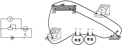 将两个金属电极插入任何一个水果中就可以做成一个水果电池但日常生活