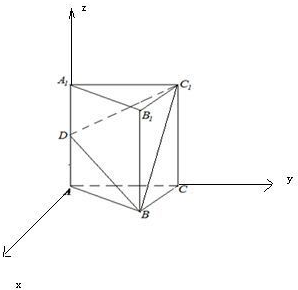 (2012张掖模拟)在正三棱柱abc-a1b1c1中,若ab=aa1=4,点d是aa1的中点