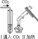 向紫色石蕊溶液中通入二氧化碳溶液变为色反应的方程式加热后溶液呈色