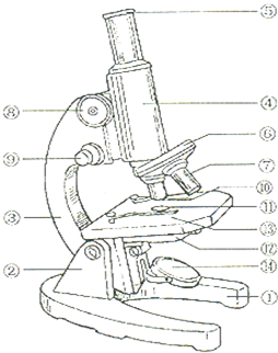 写图中各序号所代表显微镜各部分的结构名称.