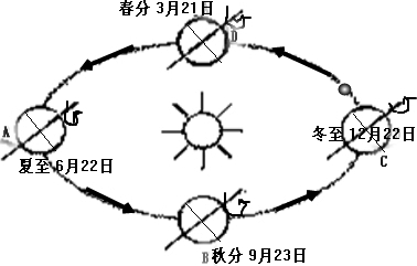 绘制地球公转示意图
