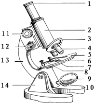 图是显微镜结构图.请据图回答:(1)对光时.应首先