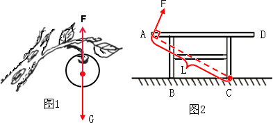 (2)连接ac,则ac就是最长的动力臂,根据杠杆平衡的条件,要使杠杆平衡