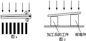 精英家教网