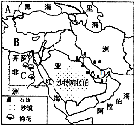 三洲夏家人口_人口普查(2)